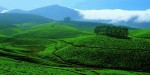 Ooty: The Enchanting Hill Station of Tamil Nadu