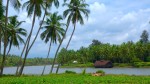 Exploring Alappuzha: A Tranquil Backwater Haven in Kerala